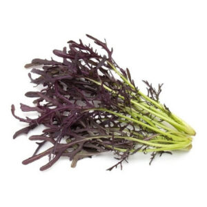 MIZUMA-MOSTASSA (Amanida) - Manat